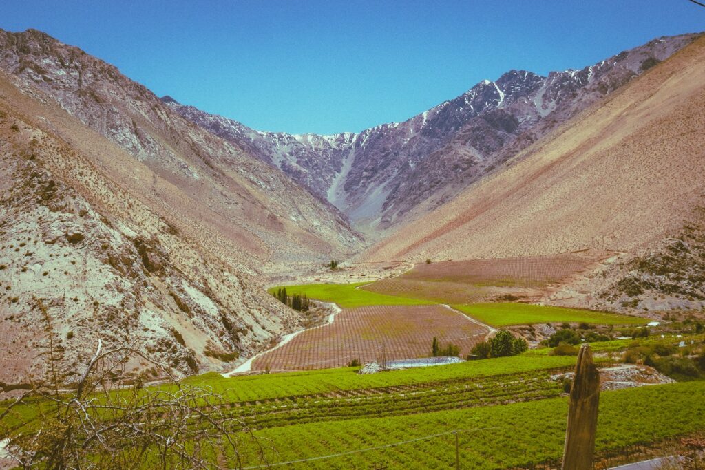Weinberge Chile