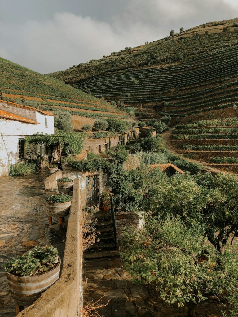 Quinta da Gricha, Mirandela, Portugal